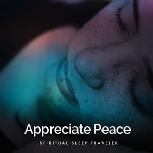 Appreciate Peace - Spiritual Sleep Traveler