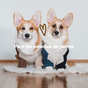 Para los amantes de perros - Dinner Background Music