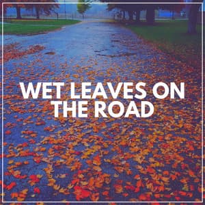 Wet Leaves on the Road - Factorial FX
