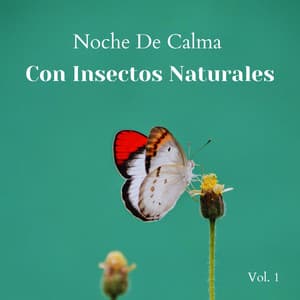 Noche De Calma Con Insectos Naturales Vol. 1 - Asociación de sonidos nocturnos