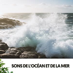 Sons de l'Océan et de la Mer: Harmonie et Force - Dog Relaxation