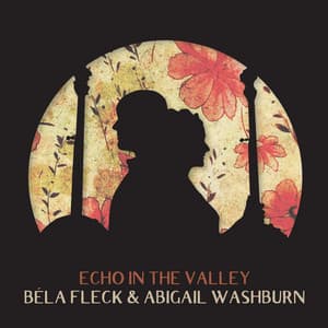 Echo In The Valley - Béla Fleck