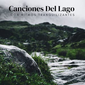 Canciones Del Lago Con Ritmos Tranquilizantes - Agua de olas tranquilas