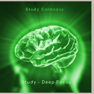 Study Calmness - Study – Deep Focus