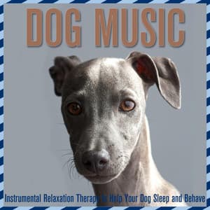 Dog Music: Instrumental Relaxation Therapy to Help Your Dog Sleep and Behave - Baby Sleep White Noise