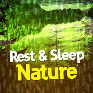 Rest & Sleep: Nature - Deep Sleep Nature Sounds