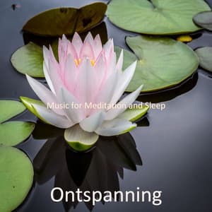 Music for Meditation and Sleep - Ontspanning
