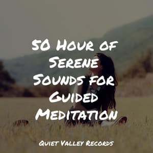 50 Hour of Serene Sounds for Guided Meditation - Study Concentration