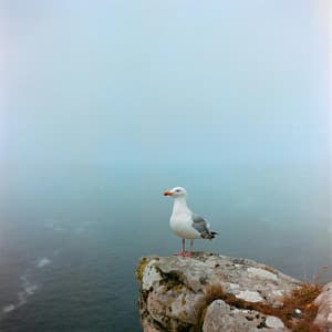 1 Ohm Sun: Infinite Shine - 16 Bit Serenity