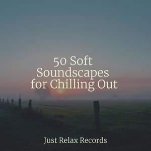 50 Soft Soundscapes for Chilling Out - Best Relaxing SPA Music
