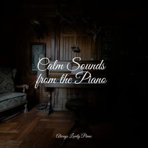 50 Soothing Summer Piano Compositions - Concentration Music Ensemble