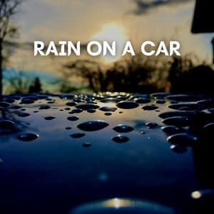 Rain on a Car - Thunderstorm Sound Bank