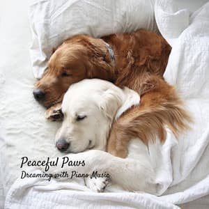 Peaceful Paws: Dogs Dreaming with Piano Music - Relaxing Piano Man