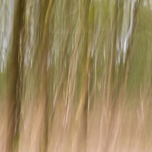 100 Wavelengths: Life Under The Stars - Nature Sound Collection