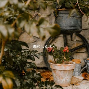 調和した木々 - Classic Jazz Chill