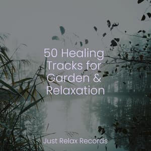 50 Healing Tracks for Garden & Relaxation - Rockabye Lullaby