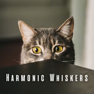 Harmonic Whiskers: Binaural Harmonies for Well-Adjusted Cats - The Binaural Beats Factory