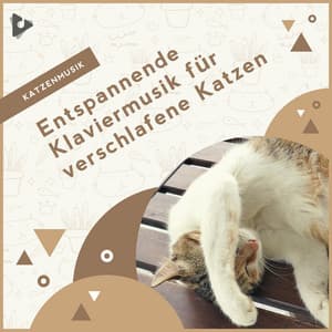Entspannende Klaviermusik für verschlafene Katzen - Katzenmusik