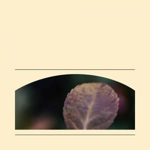 Personal Wellness - Background Jazz for Studying