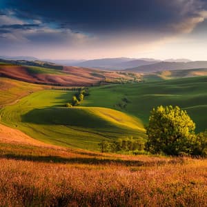Música Para Momentos De Tranquilidad: Armonías Tranquilas - Avenida fría