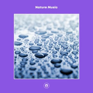 Nature Music - Rainforest Sounds
