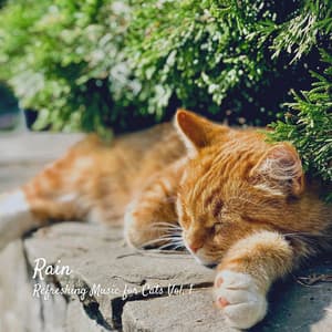 Rain: Refreshing Music for Cats Vol. 1 - The Natural Healing