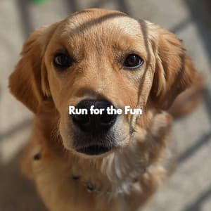 Run for the Fun - Lavoro da Casa Musica Di Sottofondo