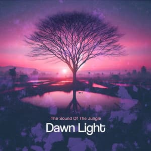 Dawn Light - The Sound Of The Jungle