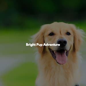 Bright Pup Adventure - Classic Jazz Music