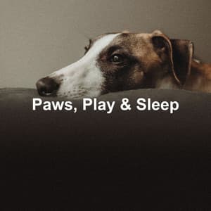 Paws, Play & Sleep - Soothing Dog Sounds