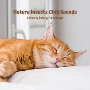 Nature Insects Chill Sounds: A Dreamy Lullaby for Catnaps - Nature Sounds Paradise