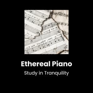 Piano Euphoria: Spa & Wellness Tunes - PianoDeuss