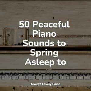 50 Soothing Piano Tracks - Romantic Piano