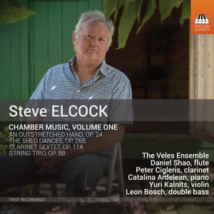 Steve Elcock: Chamber Music, Vol. 1 - Steve Elcock