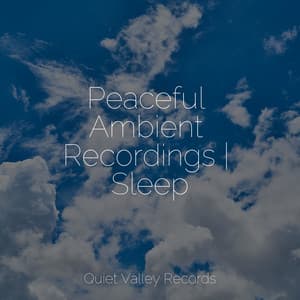 Peaceful Ambient Recordings | Sleep - Soothing Music Academy