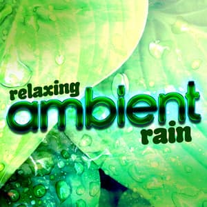 Relaxing Ambient Rain - Relaxing Nature Ambience