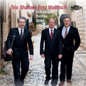 Trio Shaham, Erez, Wallfisch: Schumann, Dvořák, Grieg - Hagai Shaham