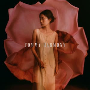 Transparent Aura - Tommy Harmony