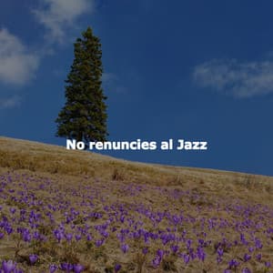 No renuncies al Jazz - Bossa Nova Project