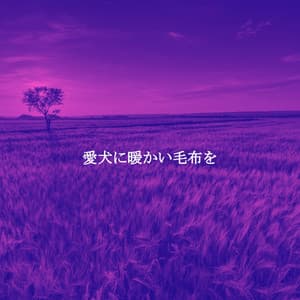 愛犬に暖かい毛布を - Tuesday Morning Jazz Playlist