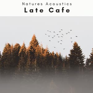 3 2 1 Late Cafe - Natures Acoustics