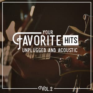 Your Favorite Hits Unplugged and Acoustic, Vol. 2 - Top 40