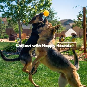 Chillout with Happy Hounds - Home Alone Dog Music