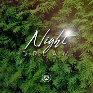 Night Dream - Rain and Chill