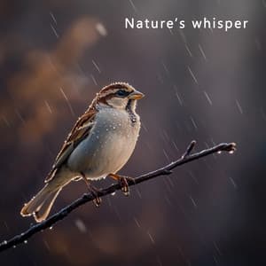 Nature’s Whisper Ease - Pink Noise Baby Sleep