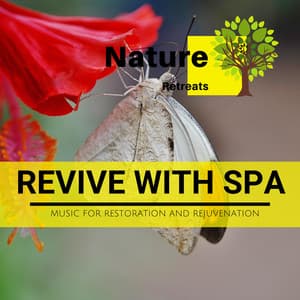 Revive with Spa - Music for Restoration and Rejuvenation - Meditation Atmospheres
