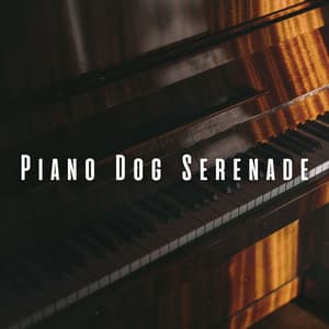 Piano Dog Serenade: Music for Man's Best Friend - Relaxing Piano Music Consort