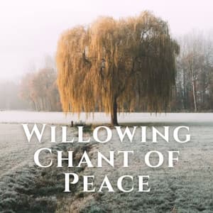 Willowing Chant of Peace - Smooth Chill Playlist