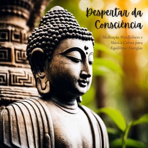 Despertar da Consciência: Meditação Mindfulness e Música Calma para Equilibrar Energias - Musicoterapia New Age