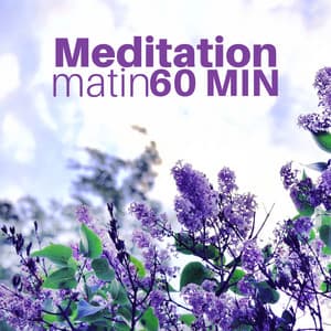 Meditation Matin 60 MIN - Musique Bouddhiste Relaxante pour Méditer avec des Sons de la Nature - Jardin japonais